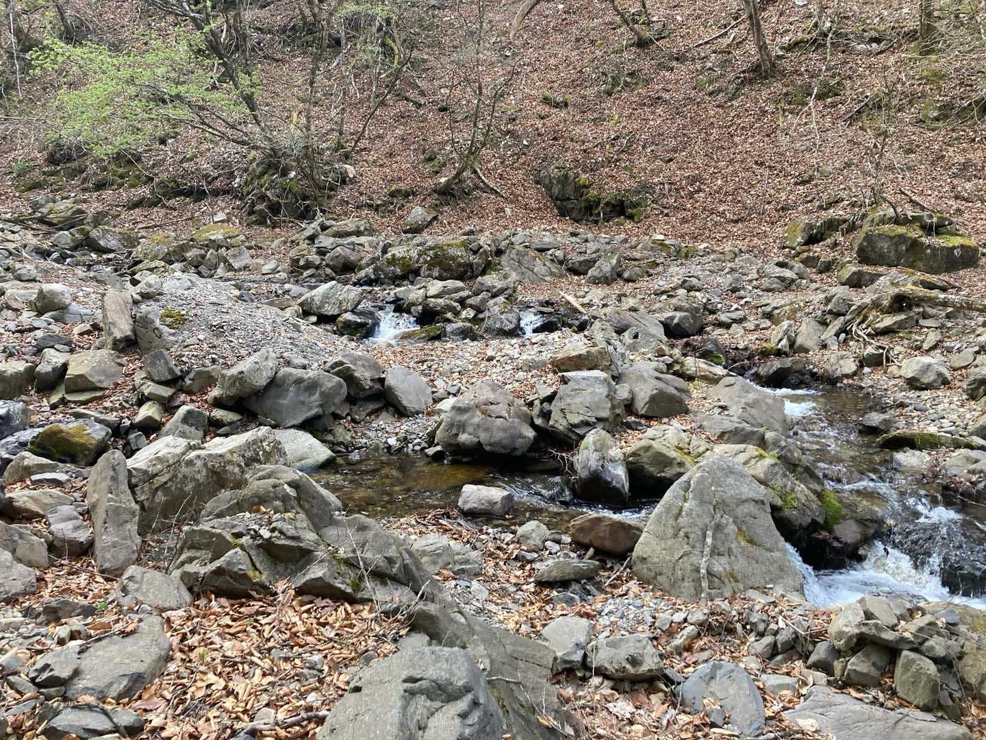 こちらから渡りました^_^