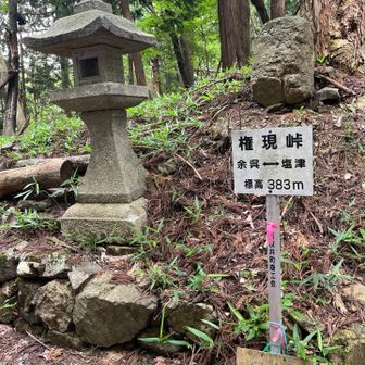 権現峠を左右に行かずに直進し神明山へ