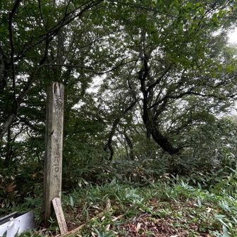 モヤモヤ😶‍🌫️増えてきた
風も吹いてきて、、
ポツポツきたーー☔️