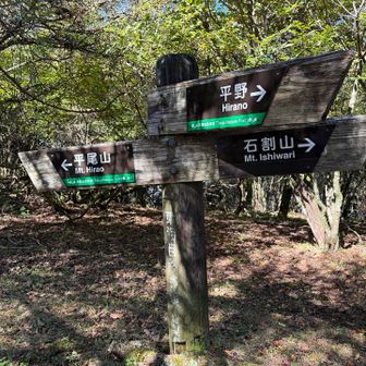 第三分岐で、おやつタイム。広々と平ら👍