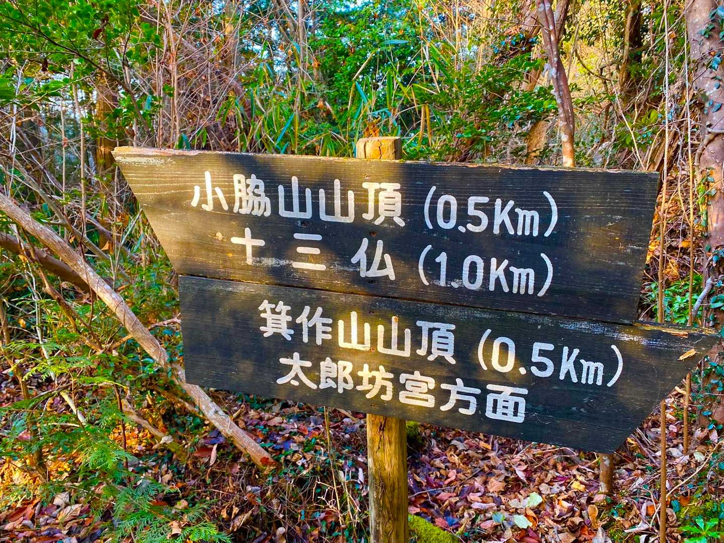 十三仏登山口-小脇山-箕作山-みつくり君休憩所-太郎坊山- 周回コースの写真