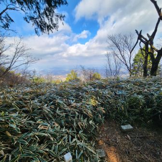 三角点もある
少しだけスペースあるのでここでお昼🍙
山頂は5℃でじっとしていると寒い🥶