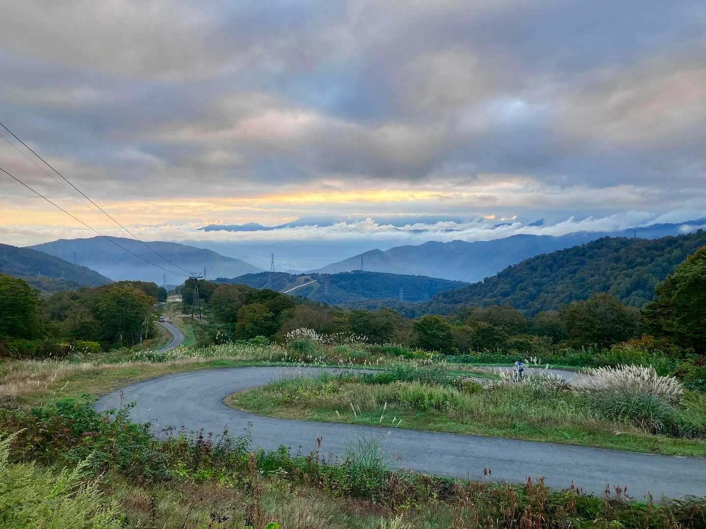 今日はお天気も良さそうなので期待！