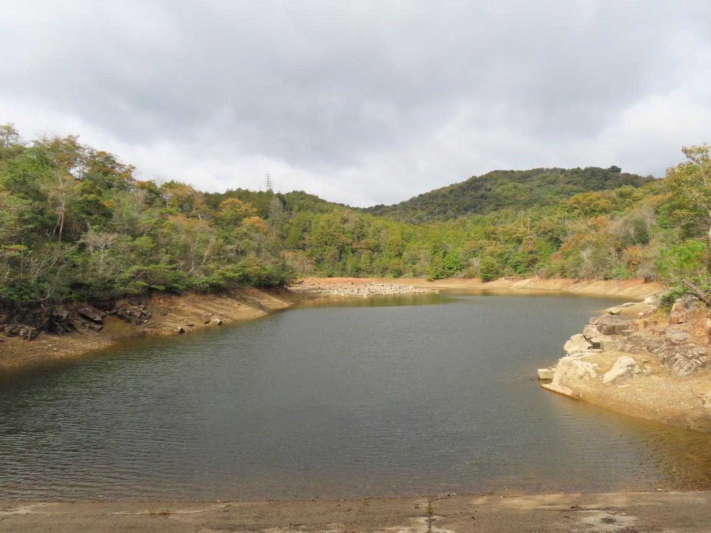 鳴谷池