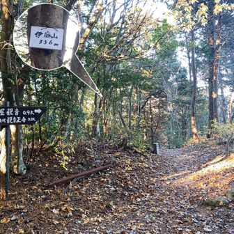 伊庭山山頂　336ｍ
眺望はありません
山名版も目立たないので通り過ぎそうになりました。