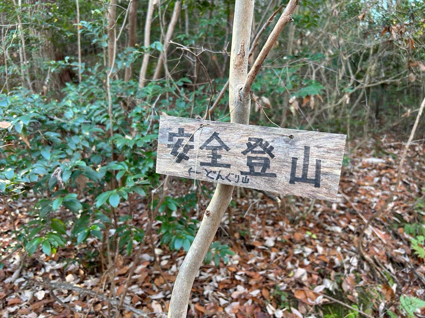 それが〜一番大事🎵
古っ😆