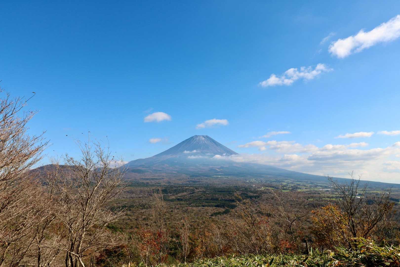 この時はよく見えてたのに…