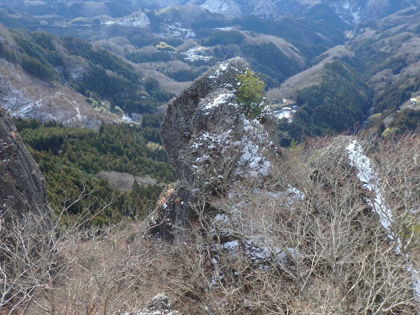 登れないか？・・・😅