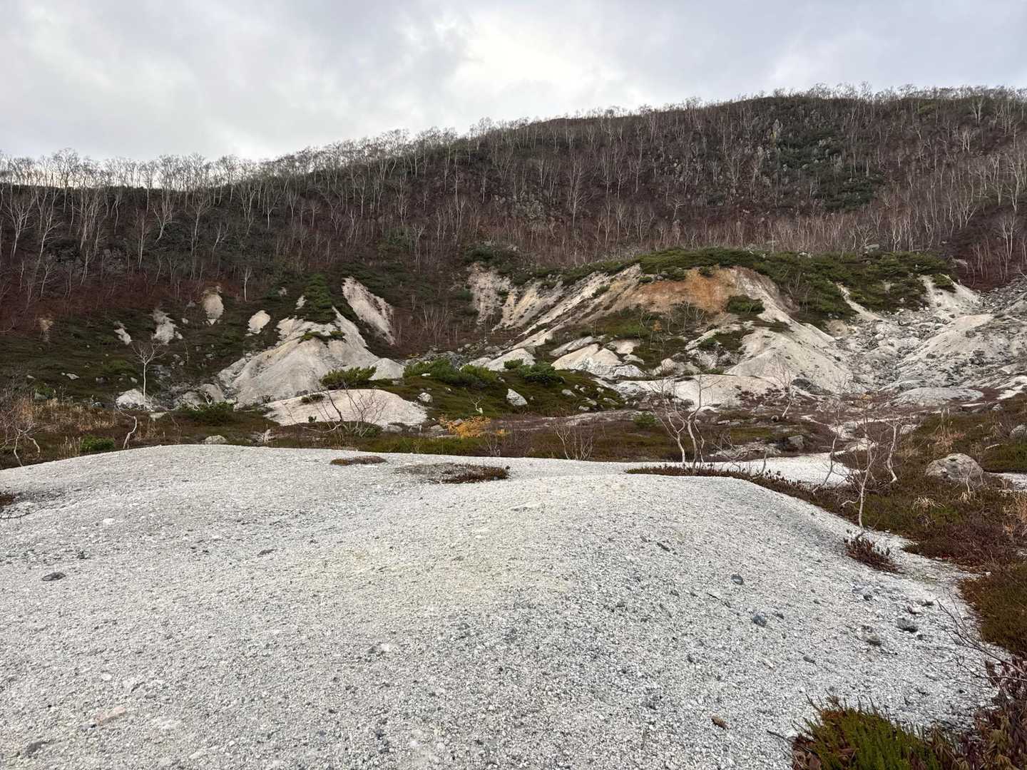 入山箱無かった！