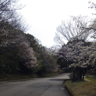 人通りが少ない道で🚶‍♂️