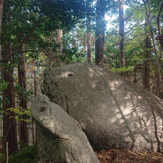 これがね、あしかの親子石
いやぁ！マジでさ
にてるね😆
