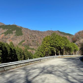 駐車場まで少し車道歩き。
これで今日の山行は終わり。

いい天気に恵まれ、いい景色見れました。
登山道がぐちゅぐちゅで、足元はかなりの どろどろ具合です💦

🐿️見に、いつかまた来ます。