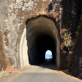 ちょっと怖いトンネル😨
歩いてみたよ…