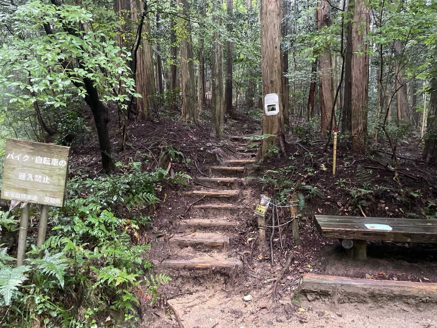 東山路ゲート-猿投山登山口-赤猿峠-休憩所-猿投山 往復コースの写真