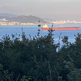 須磨方面✨旗振山⛰️ですね〜
タンカー🚢
六甲山⛰️神戸の山にいってみよう！👍
神戸港⚓️