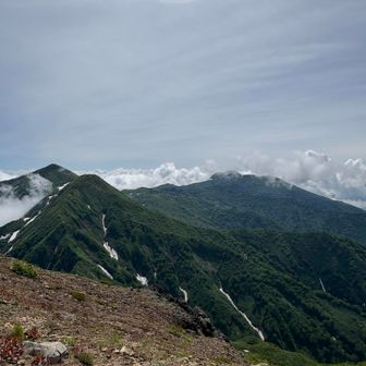 火打と妙高
ピストンするか悩んだけれど笹ヶ峰へ冒険することに決定