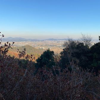 前見ても良し✨✨✨
足利アルプスかな？