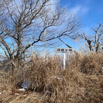 達磨まで来ました