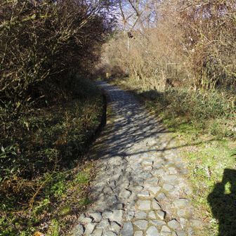 有馬に向かって下ります。