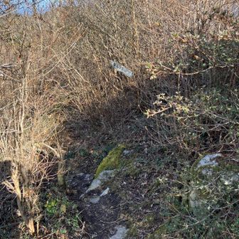 上宮のすぐ左のこの道がわからず、行ったり来たりしました。上宮の端に標識欲しいな…