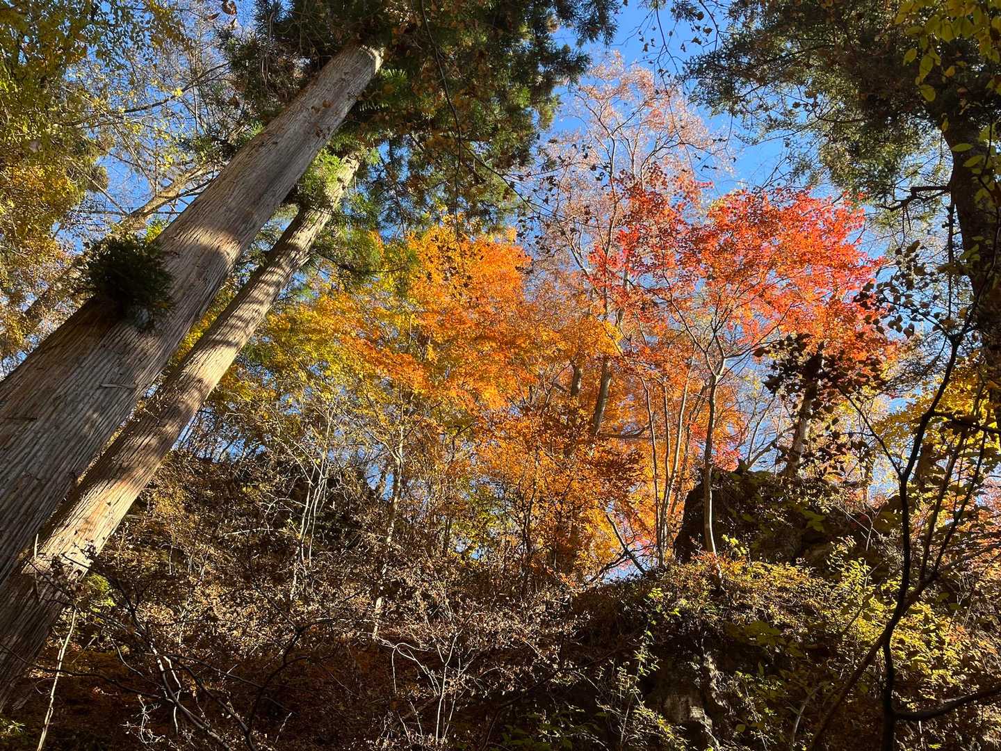 岩櫃山登山口-岩櫃山 周回コースの写真