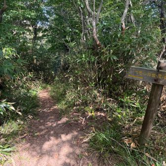 途中カモシカ台の看板があったので行ってみる