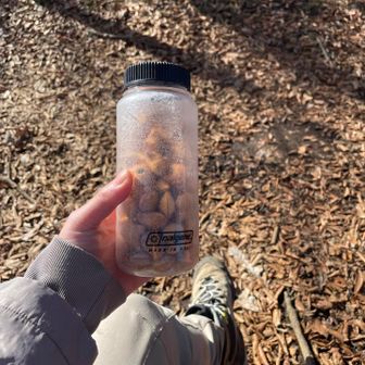 しかもこんなに😂😂😂
いつアメリカに行ってたのよ😂😂😂