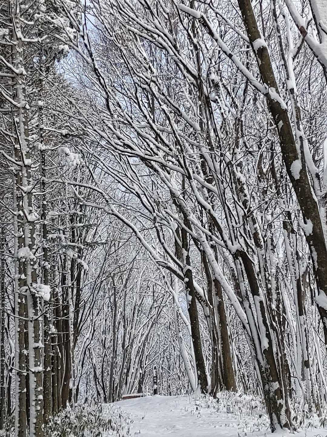 うんうん
この景色よ💕
