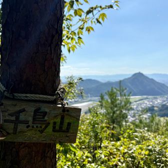 千鳥山の山頂標識。
