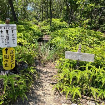 宝ヶ峯に到着。
展望スポットの風の丘へさとちゃんが案内してくれた。
