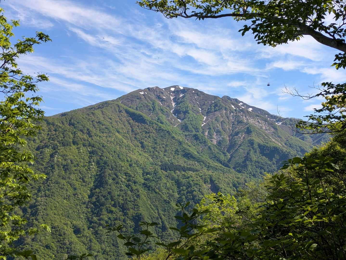 オォ～～格好いいね👍️
粟ヶ岳