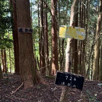 ここまでキツかった