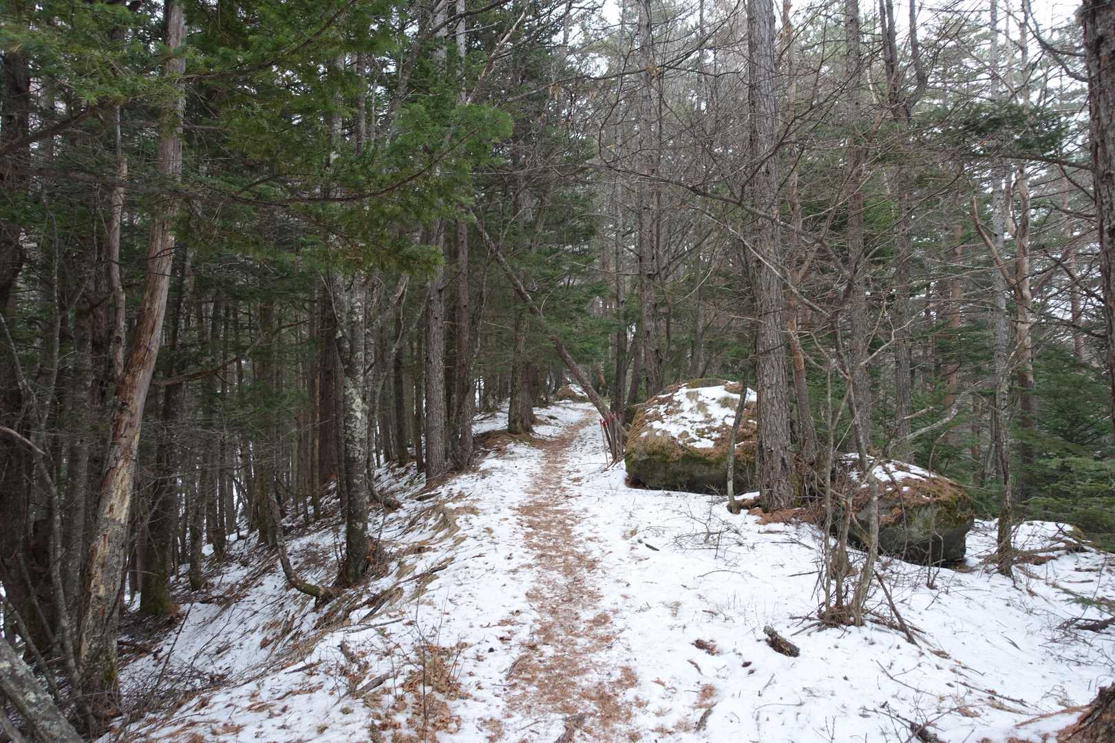 舟山十字路-御小屋山 往復コースの写真