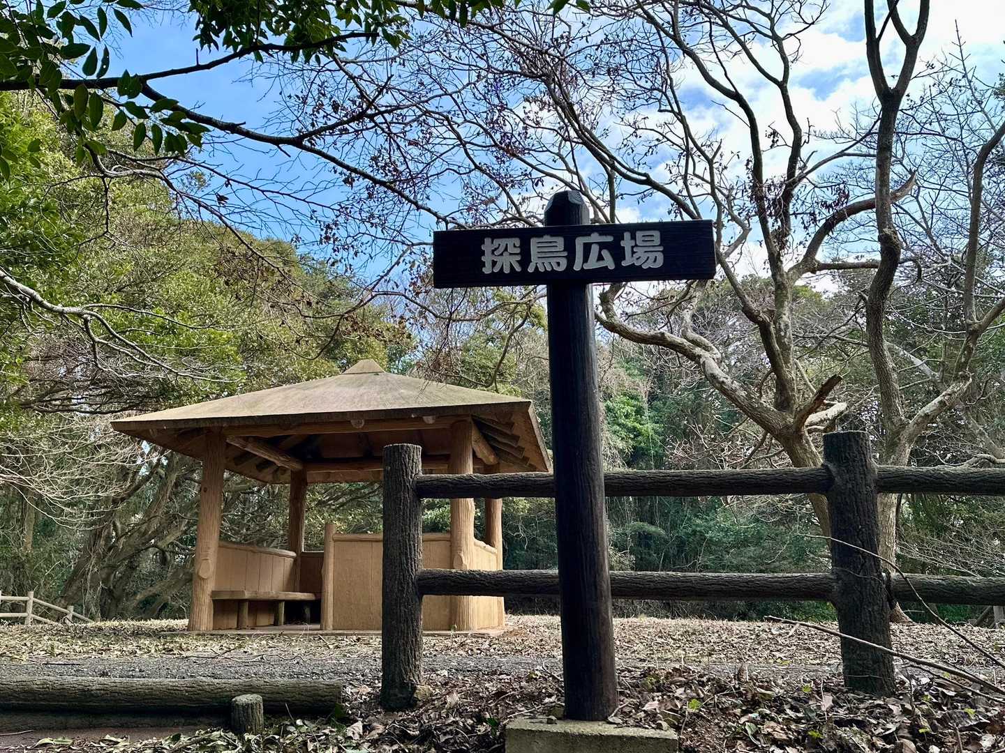 探鳥広場⛰綺麗に整備されてます