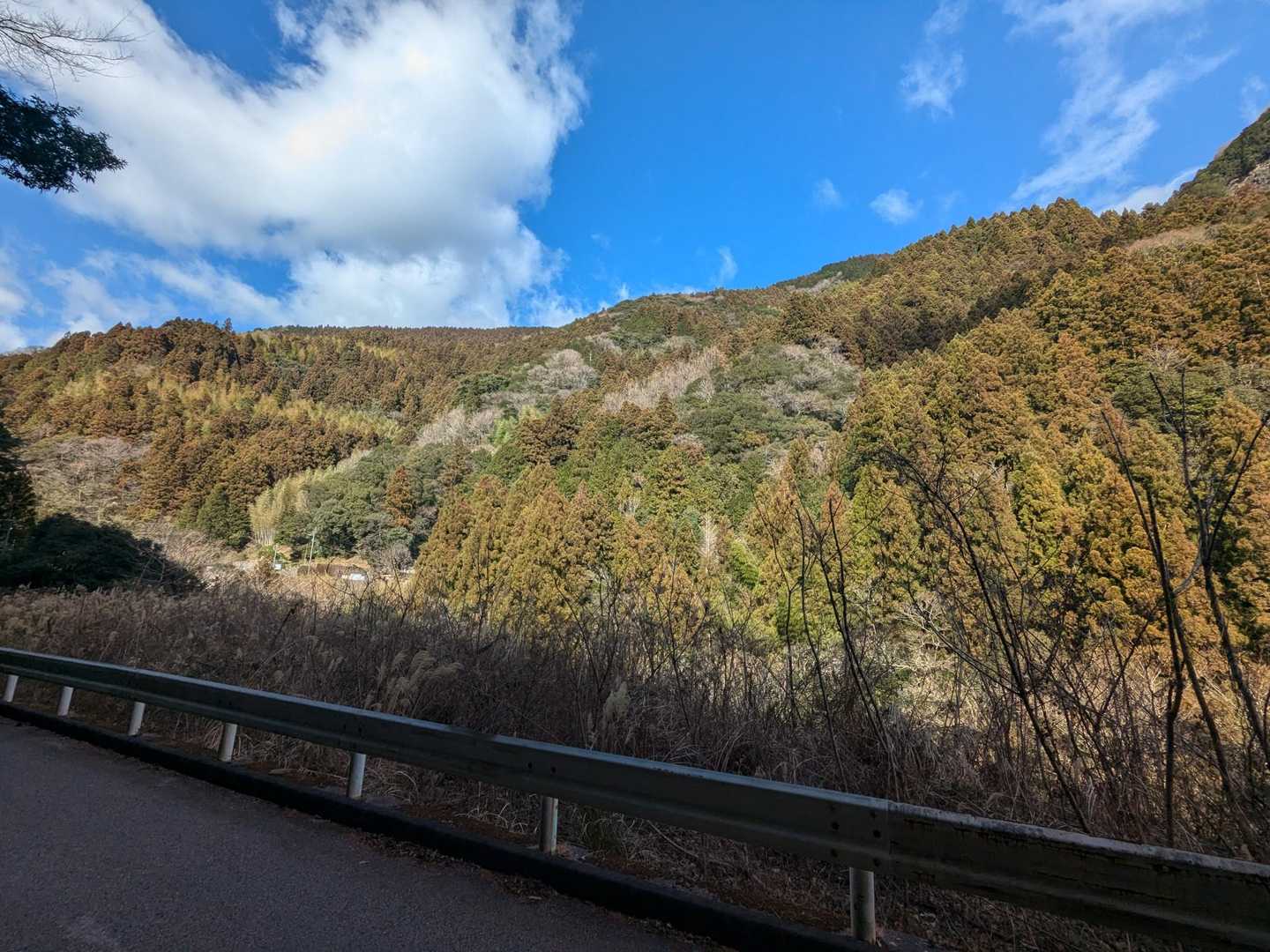 無事下山しました。
たぶん正面に見えるのが雪光山。