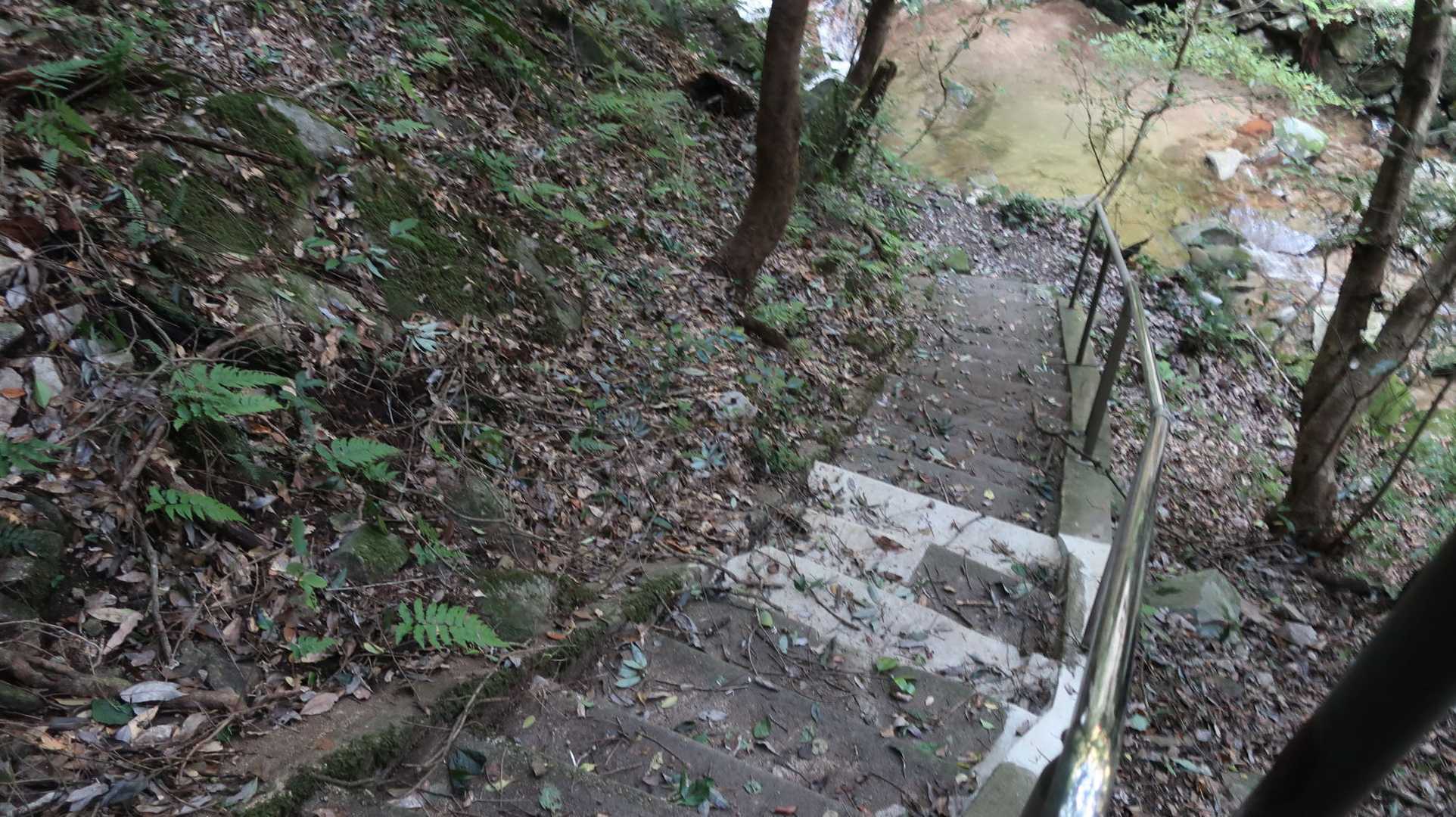 随分前はここの上り下りは大変でしたが、階段が出来てる🎵