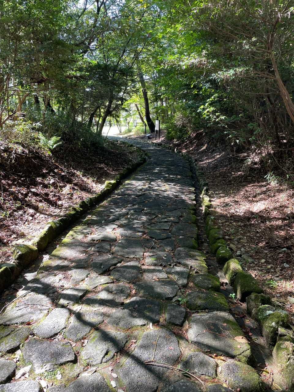 雨のあとの敷石はすべるので注意。