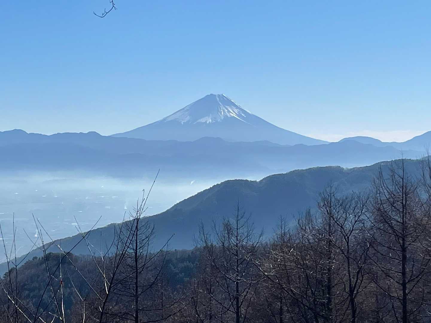 山頂から今日もド〜ン！