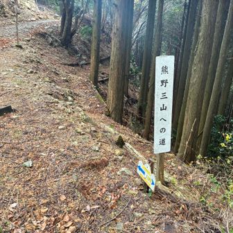熊野三山への道