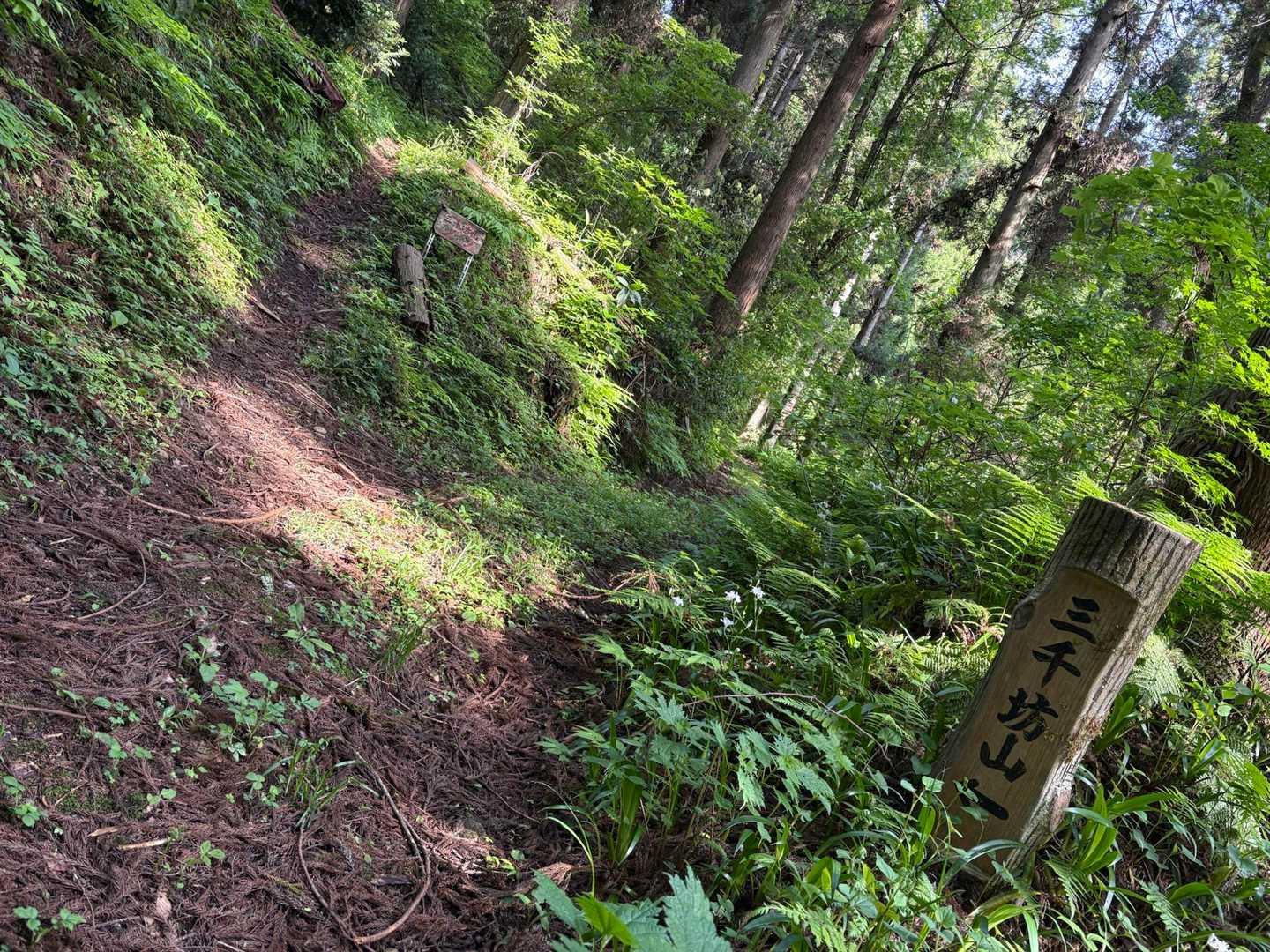 ここかあ〜　登山口は🤨