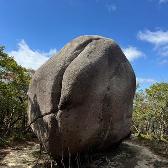 桃岩🪨🍑