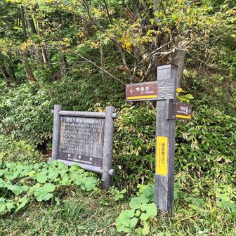 ここから上高地