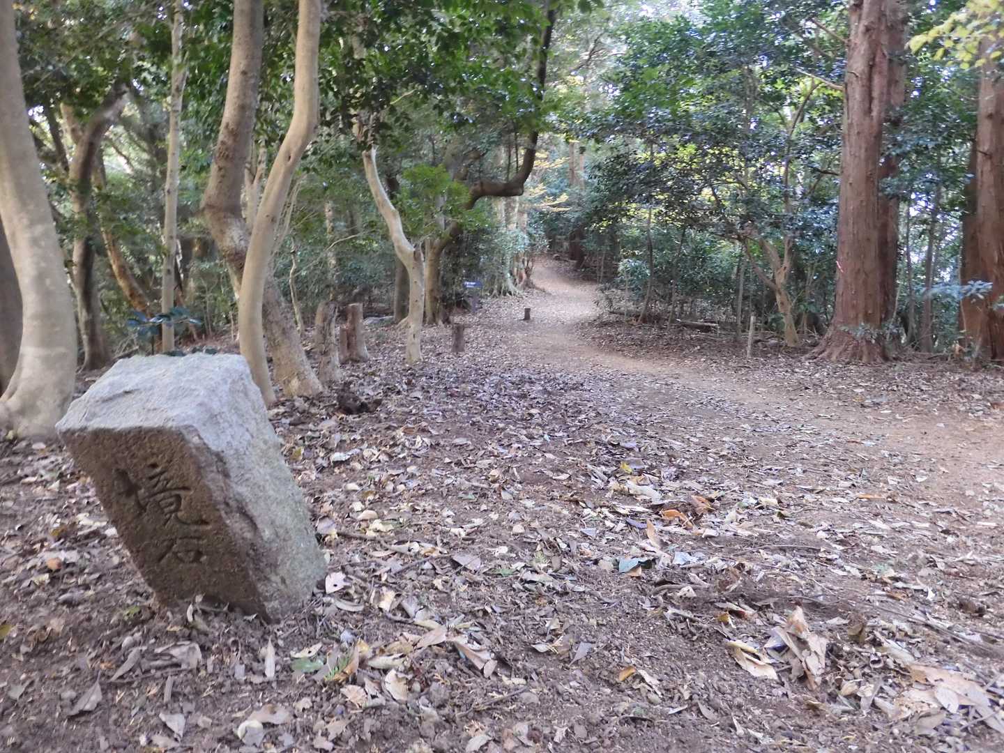 境界石が点在する広々とした遊歩道