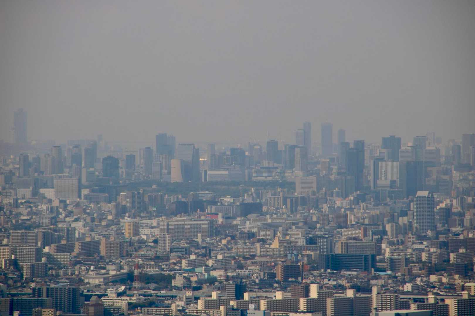 展望台からの眺望。大阪のビル群