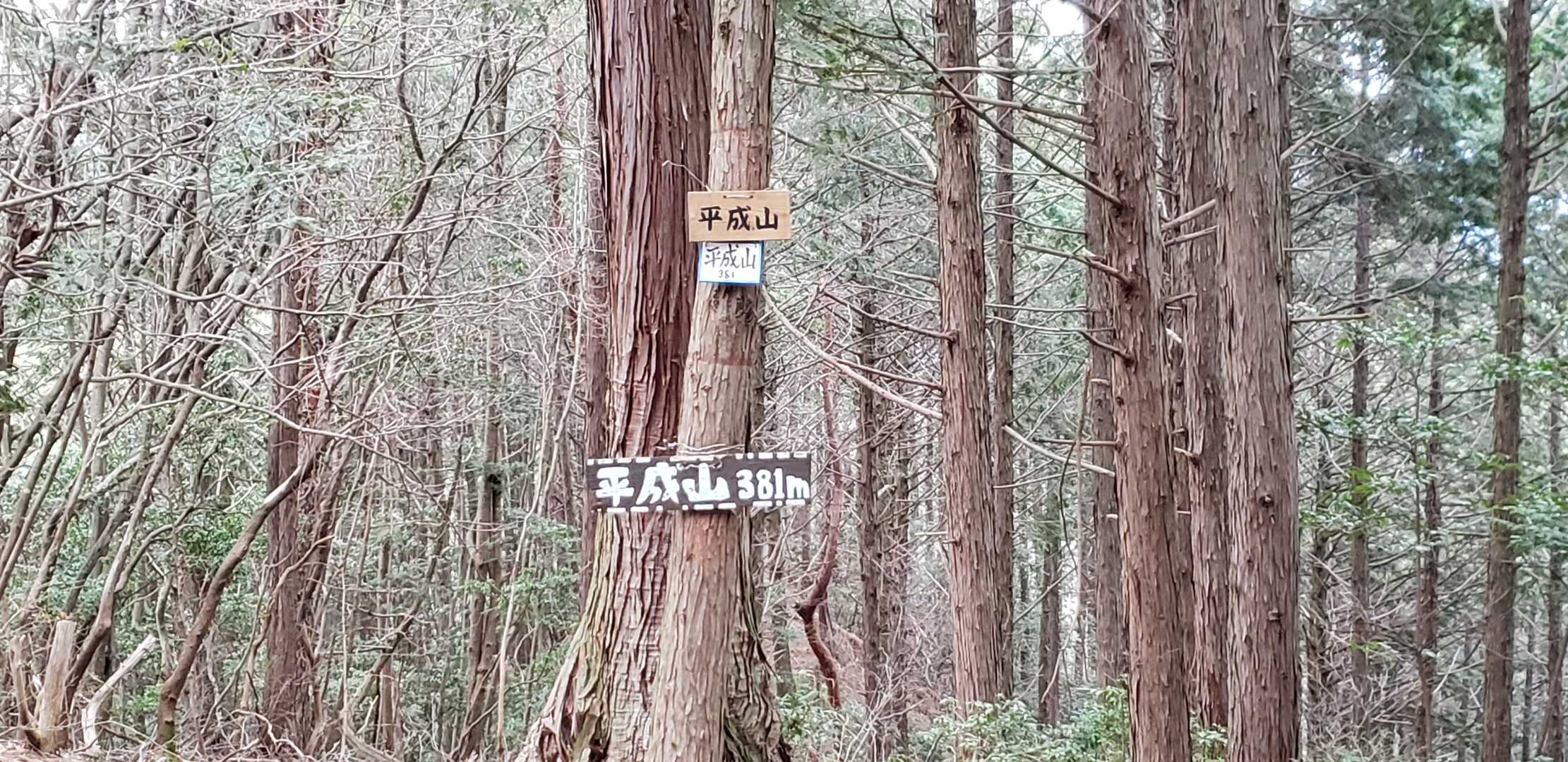 平成山⛰️頂上
眺望はないですね🙍