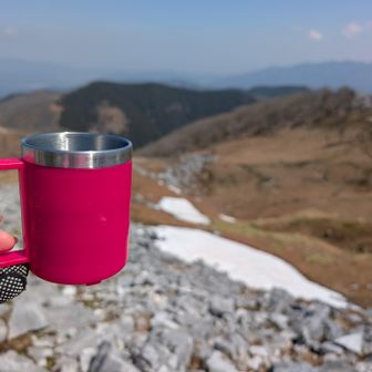 コーヒー☕とパン🥪（ランチパック）でお昼ご飯〜