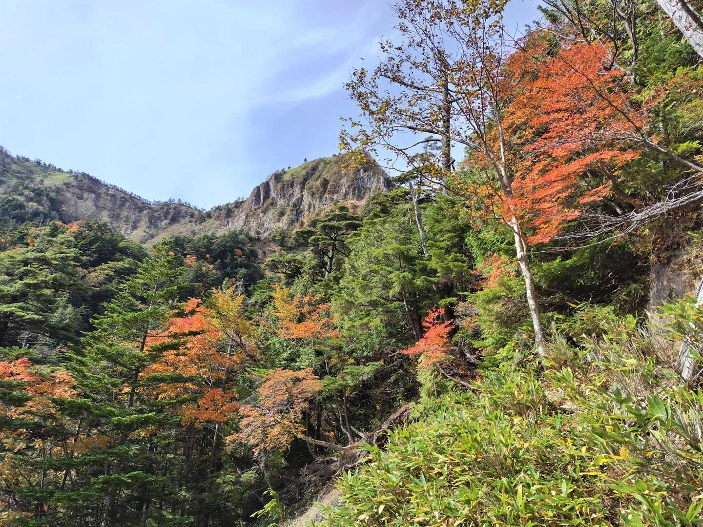 一部紅葉が綺麗です。
