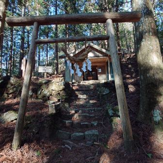 白光神社⛩️おしめ縄が立派です
