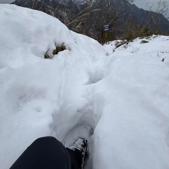 トレースに足を突っ込んで、
膝くらいまでくる感じ！

本当にトレース様々です🙏✨✨