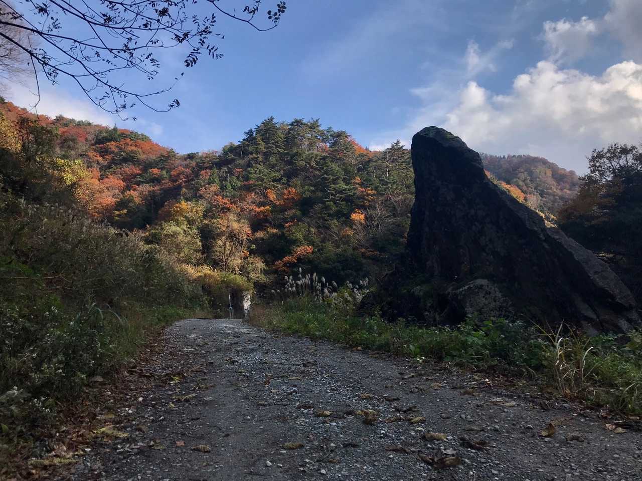 わりかし綺麗に撮れたかも